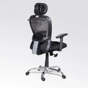 ErgoMax Pro Executive Office Chair
